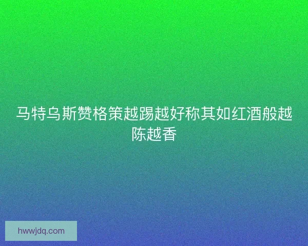 马特乌斯赞格策越踢越好称其如红酒般越陈越香